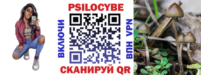 где купить наркоту  Мичуринск  MEGA   Галлюциногенные грибы прущие грибы 